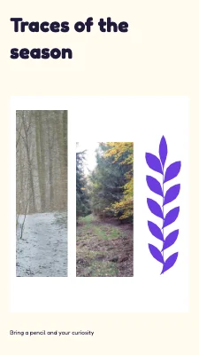 Traces of the season · vivid learning