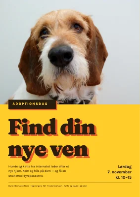 Adoptionsdag på dyreinternatet
