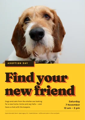 Adoption day at the animal shelter