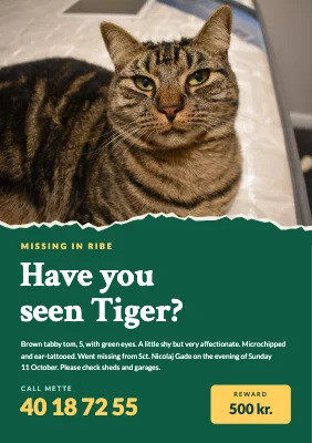 Missing cat — torn photo