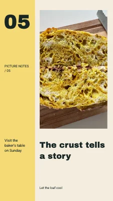 The crust tells a story · Large index