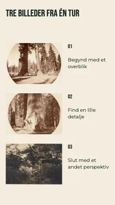 Side 2 af Tre billeder fra én tur · Skråt folio