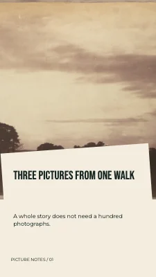 Three pictures from one walk · Diagonal folio