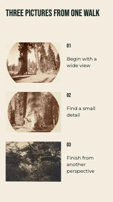 Page 2 of Three pictures from one walk · Diagonal folio