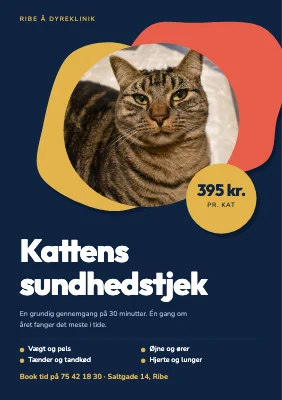 Sundhedstjek for katte — dyreklinik
