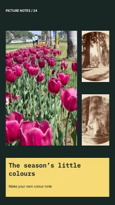 The season’s little colours · Contact sheet