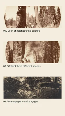Page 2 of The season’s little colours · Contact sheet