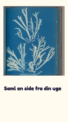 Side 3 af En lille samling · Farverig læring