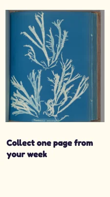 Page 3 of A little collection · vivid learning