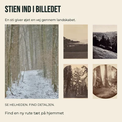 Stien ind i billedet · Typografisk bånd