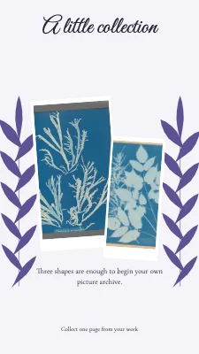 A little collection · botanical letter