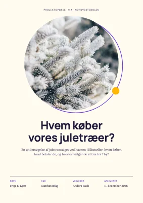 Skoleopgave — juletræssalg
