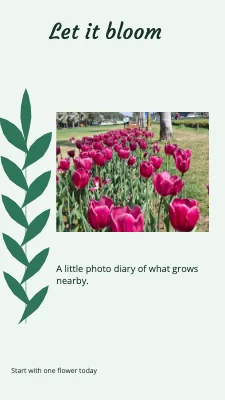 Let it bloom · garden notebook